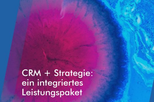 CRM & Strategie: Ein integriertes Leistungspaket
